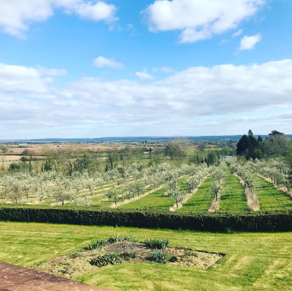 Отель Shakespeare'S View Стратфорд-апон-Эйвон Экстерьер фото