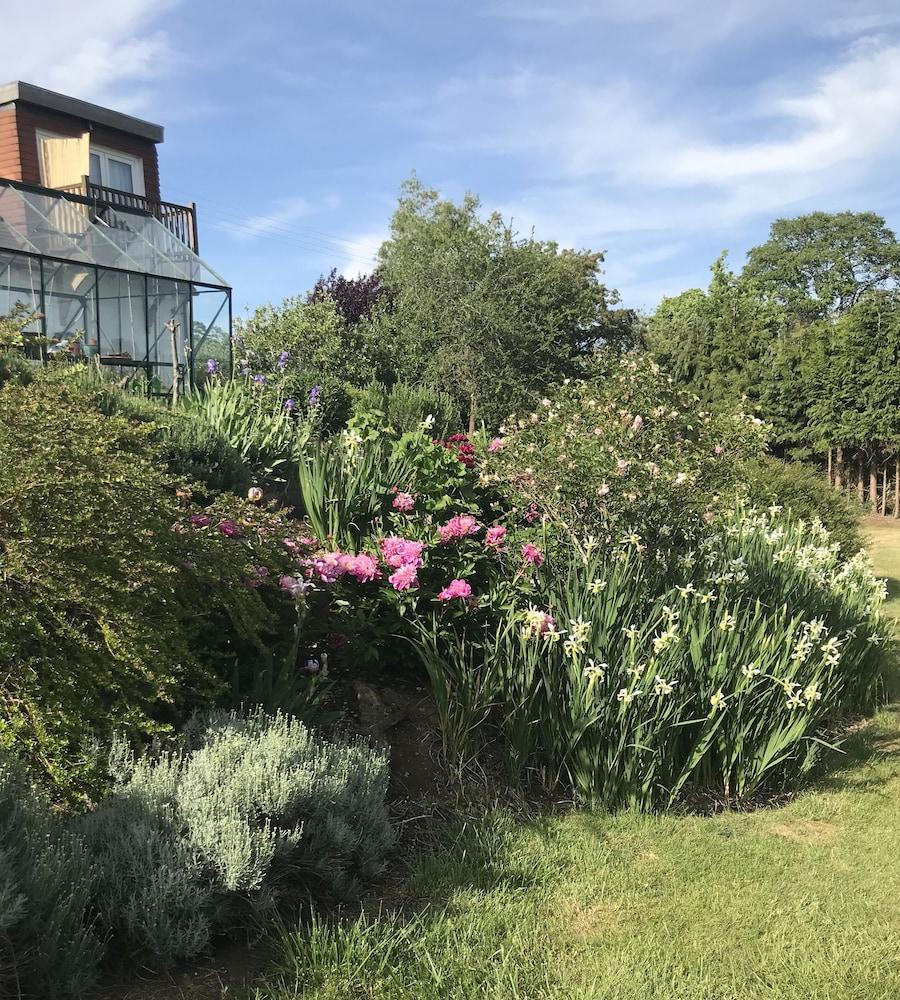 Отель Shakespeare'S View Стратфорд-апон-Эйвон Экстерьер фото