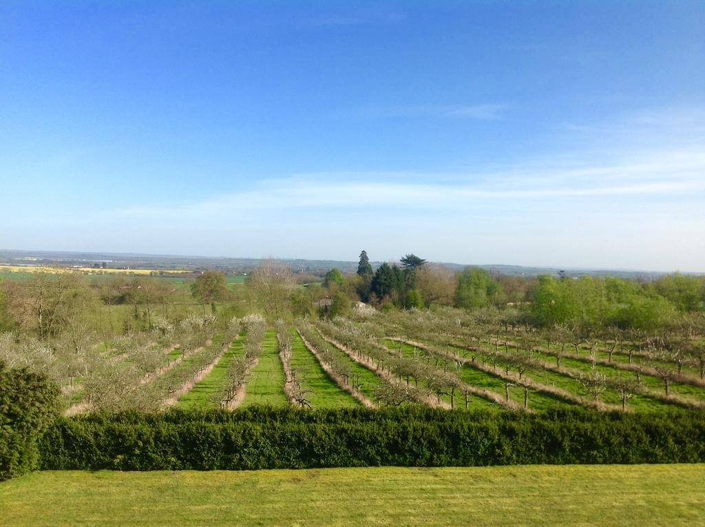 Отель Shakespeare'S View Стратфорд-апон-Эйвон Экстерьер фото
